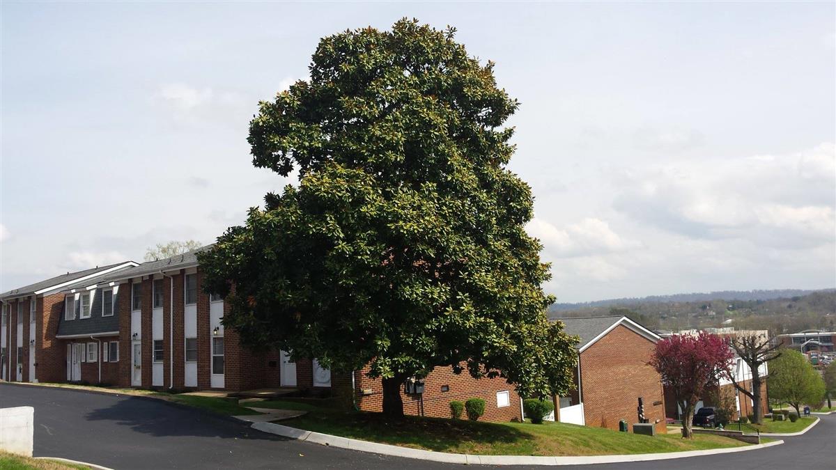 Bloomingdale Terrace Apartment in Kingsport, TN