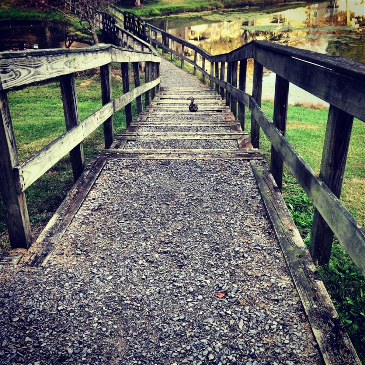 The Landings On Silver Lake Apartments Apartment in Church Hill, TN