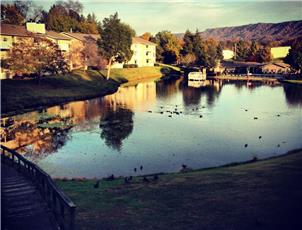 The Landings On Silver Lake Apartments